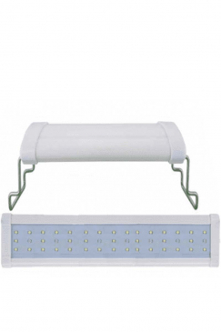 LED 021.jpg