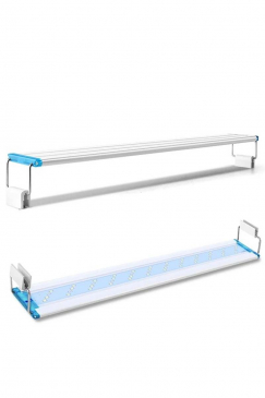 LED 038.jpg