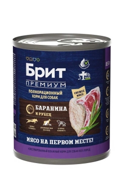 50511822.jpg_1