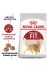Royal Canin Fit 32
