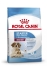 Royal Canin Medium Starter