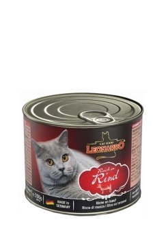 05Leonardo.jpg_1