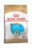 Royal Canin Labrador Retriever Puppy