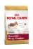 Royal Canin Cavalier King Charles Adult