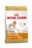 Royal Canin Poodle Adult