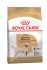 Royal Canin Labrador Retriever Adult