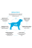 Grandorf Vet Dog Dermatosis (лосось)