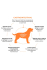 Grandorf Vet Dog Gastrointestinal (индейка)