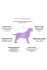 Grandorf Vet Dog Hypoallergenic (кролик)