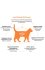 Grandorf Vet Cat Gastrointestinal (Индейка)