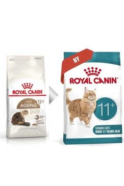 96060400_2.jpg_1
