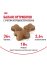 Корм Royal Canin Kitten для котят
